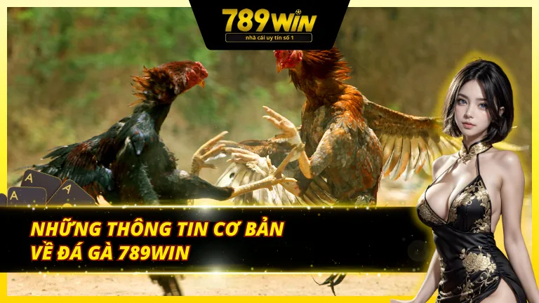 Sơ lược về đá gà 789Win