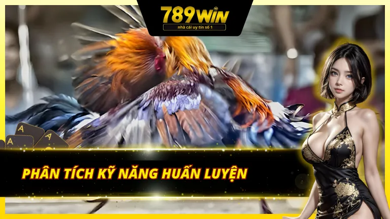 Phân tích kỹ năng huấn luyện đá gà 789Win
