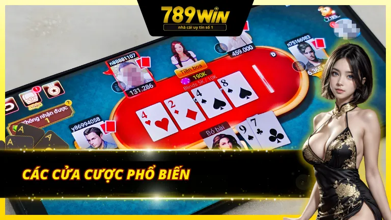 Các cửa cược trong tài xỉu 789Win